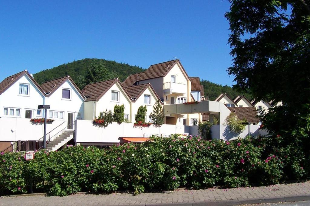 Gemutliche 93M2Fewo Mit 2 Schlafzimmern Und Seitlichem Seeblick Vom Balkon Scheid (Waldeck-Frankenberg) Exterior foto